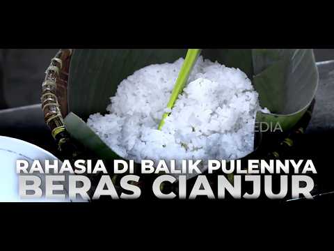 Rahasia Di Balik Pulennya Beras Cianjur | SECRET STORY (23/09/26)