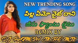 Pilla Amo waitu Dani Jeenu Pant Amo Taitu Folk Song |@djparmeshinthemix ​| latest folk songs | #folk