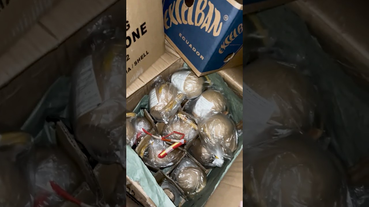 F4 fireworks Asia Dragon Bazar