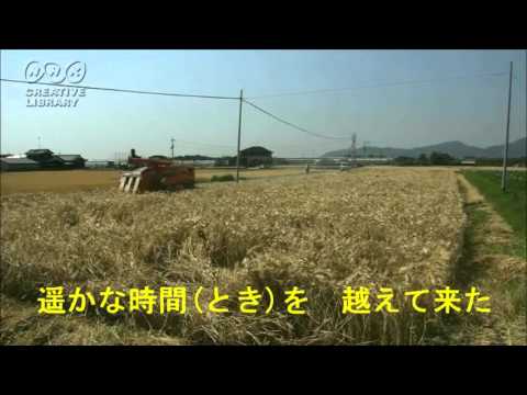 【夕陽燦燦】 五木ひろし　cover legend