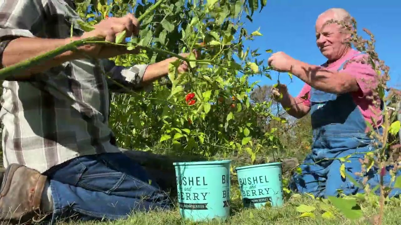 Are you there, winter?