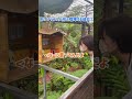 彼女がパイナップル人形と喧嘩する動画