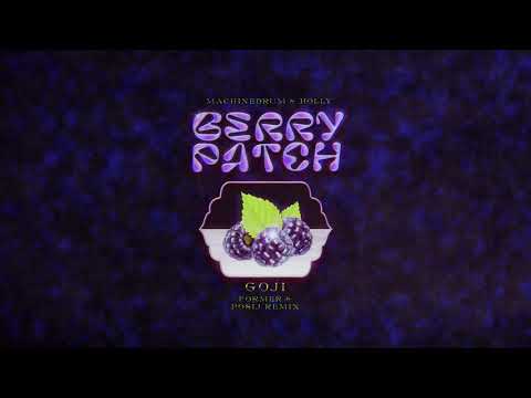 Machinedrum & Holly - Goji (Former & Posij Remix)