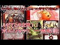 「デュエマ」ボルシャック一族全員集合！ボルシャック一族を全部解説！古参ファン集まれスペシャル！！