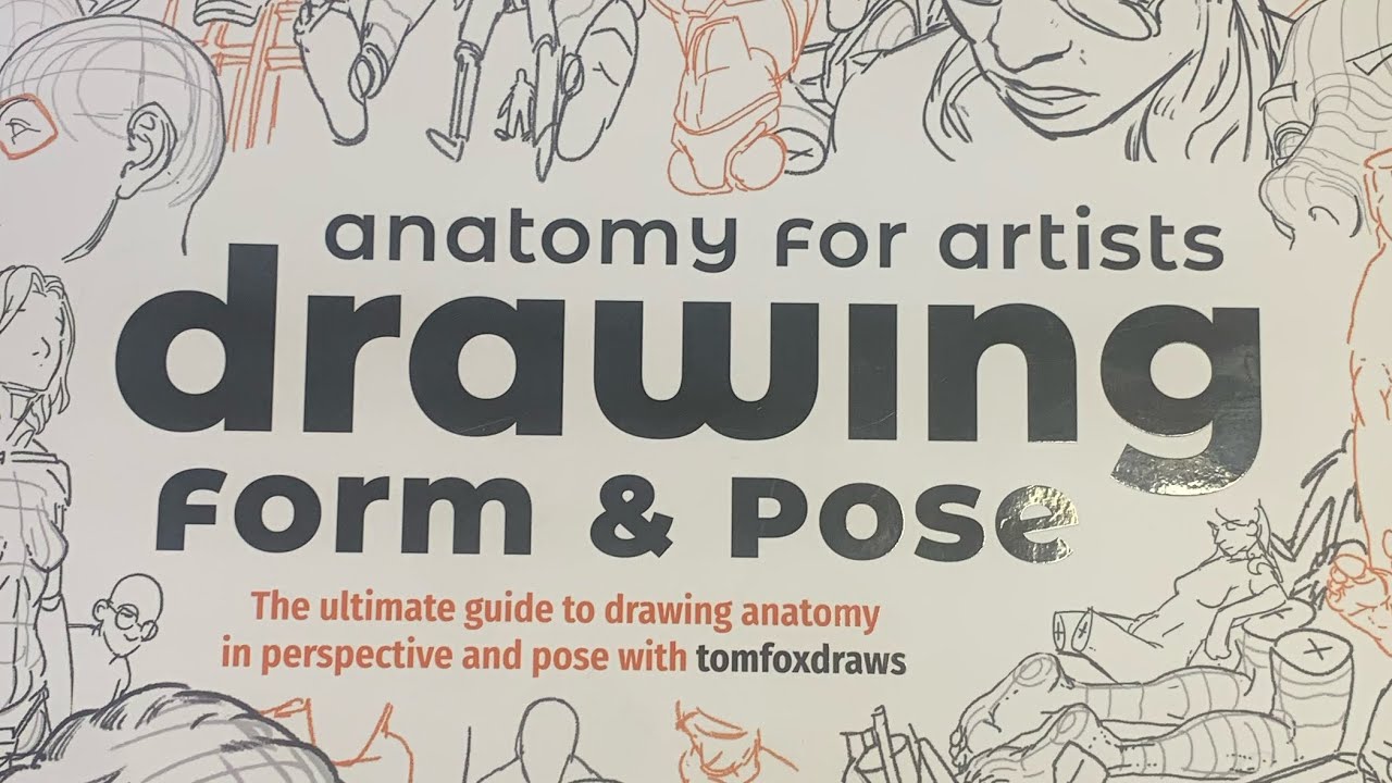 anatomy for artists drawing form & pose:Study