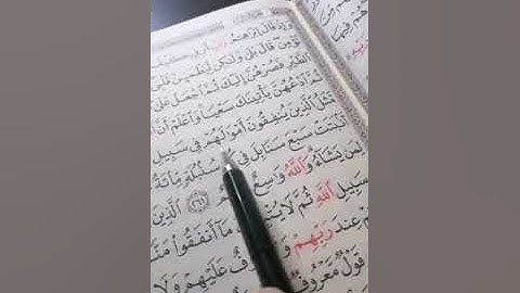 قراءة من سورة البقرة من الآية 260 إلى الآية 264