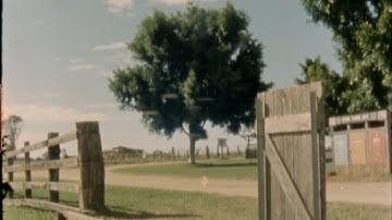 Thumbnail of Morgan Wallen - Skoal Chevy Browning (feat. Lil Durk)