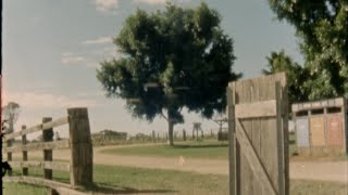 Morgan Wallen - Skoal Chevy Browning Feat. Lil Durk