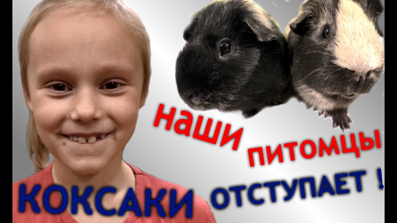 КОКСАКИ отступает 👪 наши питомцы 🙉 купила Насте сапоги 👢 ЗАДАВАЙТЕ МНЕ ...