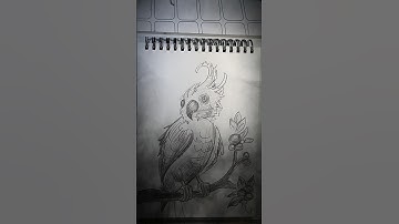 "The Haunted Beak" 🖤🖤#drawing#bird#creepy#artshorts#draw