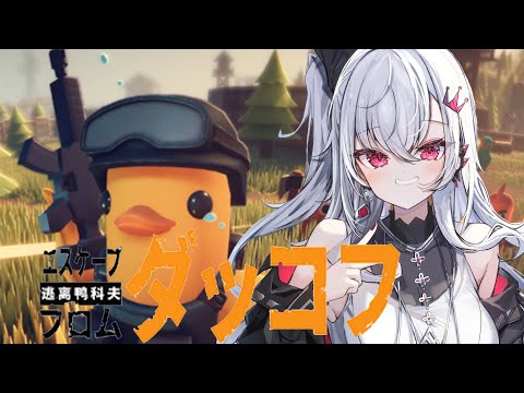 【エスケープ フロム ダッコフ】完全初見‼ダッコフやっていくぞお💛【ホロライブ DEV_IS 響咲リオナ】 video thumb