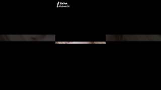 TikTok indonesia I LOVE YOU 3000 by sheinlee