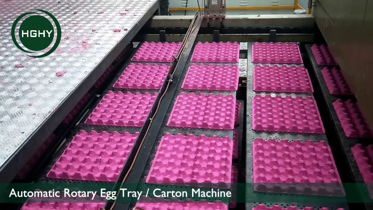 HGHY Automatic Rotary Egg Tray / Carton Machine