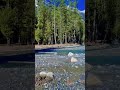 #NatureBeauty#NatureLovers#WildlifePhotography#BeautyOfNature#NatureShots#NatureVideos#HDNature