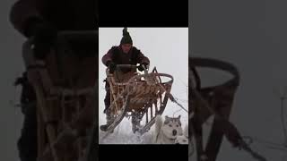 This Opening Scene Still Gives Chills… ❄️🐺 | Iron Will (1994)