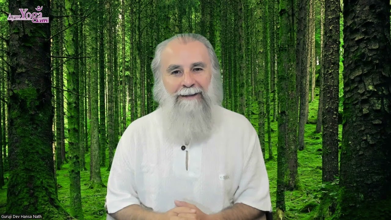 ¿Qué es el Reiki? Una puerta hacia la armonía y la energía vital