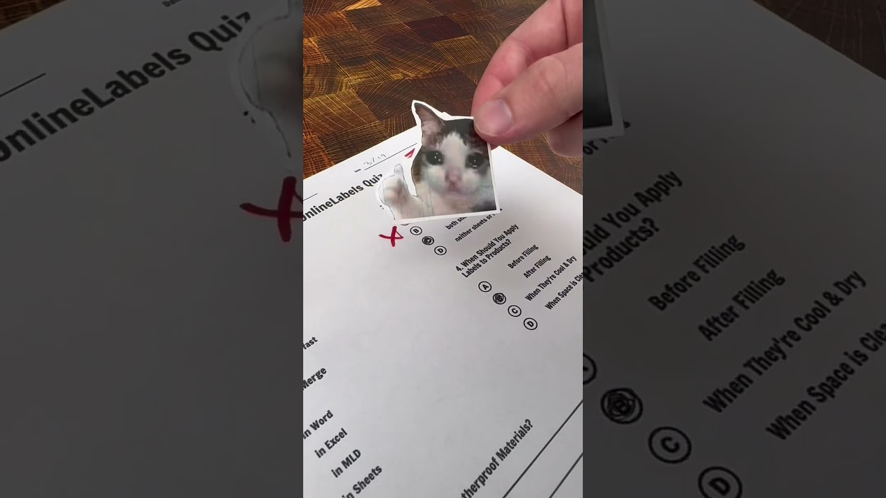 He's not a tough grader, we swear... ✏️👨‍🏫 (meme stickers for grading) 