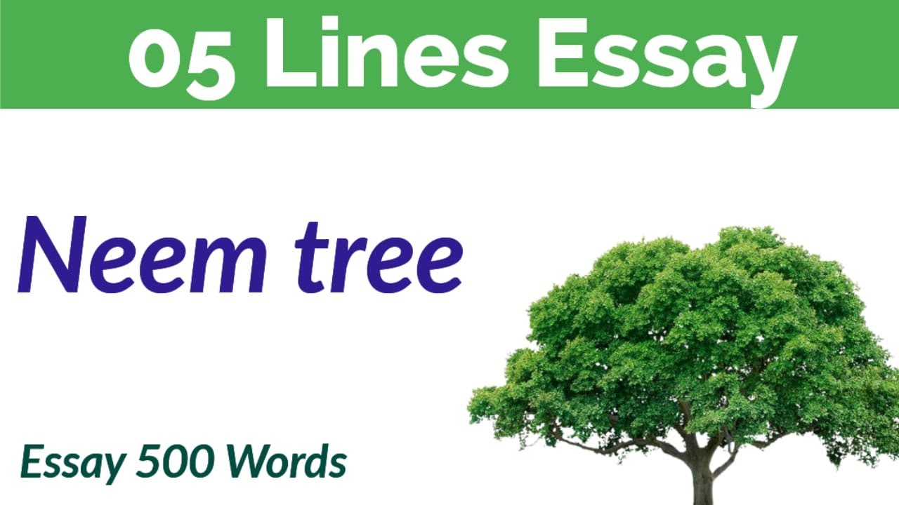 essay in neem tree