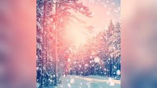 Şekersiz - İmkansız Bir Aşk Denir