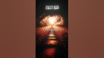 كذبت عاد المرسلين) سورة الشعراء #قران_كريم #ياسر_الدوسري #قران #quran #yasseraldossary