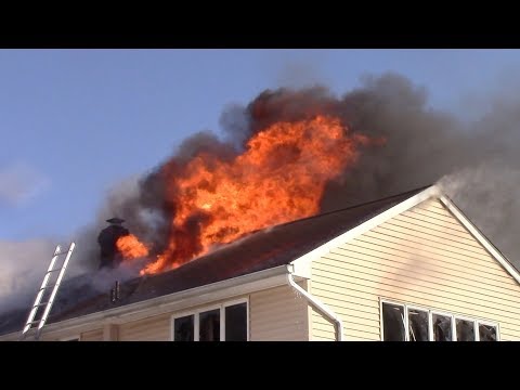 VIDEO: Resident, Two Dogs Escape Lyndhurst Fire