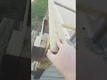 Completed the railing