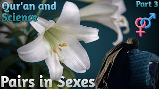 Scientific Ayats from Quran #part3 | Pairs in Sexes 🏵️💠👥 #quran #science