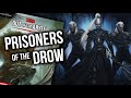 Out of the abyss dm guide  prisoners of the drow