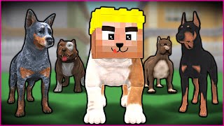 EFEKAN KÖPEK OLDU, ÇETEYE KATILDI! 😱 - Minecraft