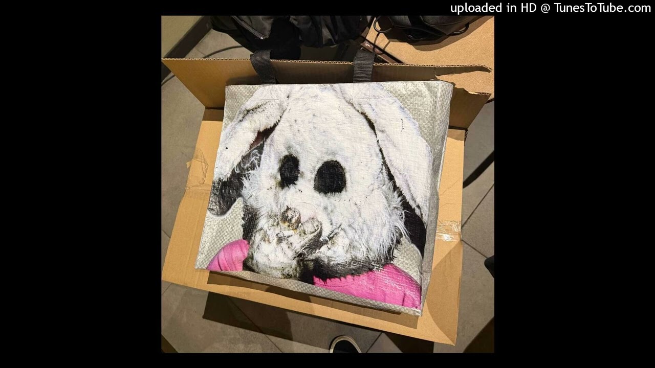 [FREE] elyaplugg rock type beat - pvnk (prod. screamboy)