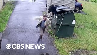Principal gets startled after finding bear in school dumpster