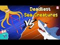 Deadliest Sea Creatures | Underwater Killers | Shark vs Giant Squid | The Dr. Binocs Show