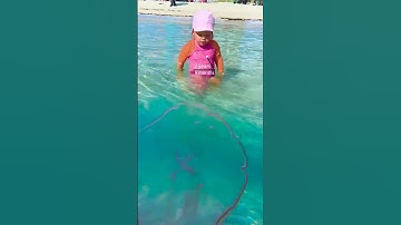 Naomi saw a big jellyfish in the sea. Funny Baby short!
