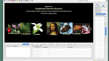 Instructions for making IGB QuickStart video