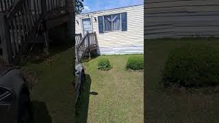 Phoenix heat push cut grass everyday lol 😆 😂 🤣 😅