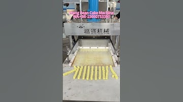 Automatic Mung Bean Cake Baking Machine #foodmachinery
