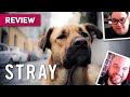 Stray MOVIE REVIEW | BFI London Film Festival 2020 | LFF