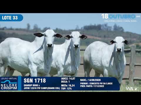 LOTE 33 SGN 1718,1778,1808