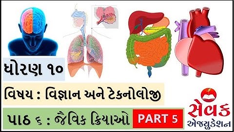 NCERT STD 10 || વિજ્ઞાન અને ટેકનોલોજી || પાઠ ૬ || જૈવિક ક્રિયાઓ || jaivik kriyao || ભાગ 5  ||SCIENCE