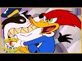 Woody Woodpecker Show | Hide and Seek | Full Episode | Videos For Kids