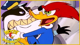 Woody Woodpecker Show | Hide and Seek | Full Episode | Videos For Kids