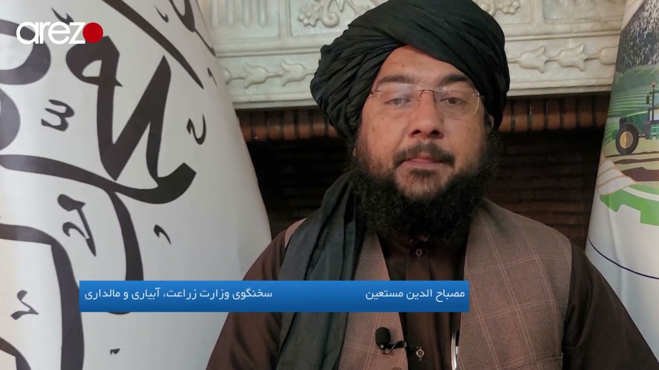 خوشبینی‌ها از افزایش حاصلات برنج در کشور