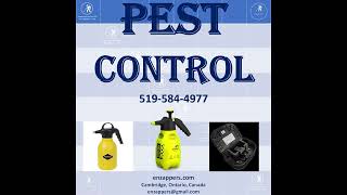 Pest Control Made Easy for Cockroaches Bedbugs Rats Mice
