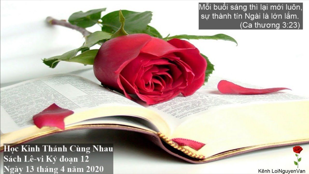 ️🌹Lê-vi ký đoạn 12. Học Kinh Thánh Hàng Ngày - 13 tháng 4 năm 2020. ️🌹 ...