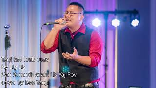 Txoj kev hlub cuav -  Lig Lis (cover by Bee Yang)