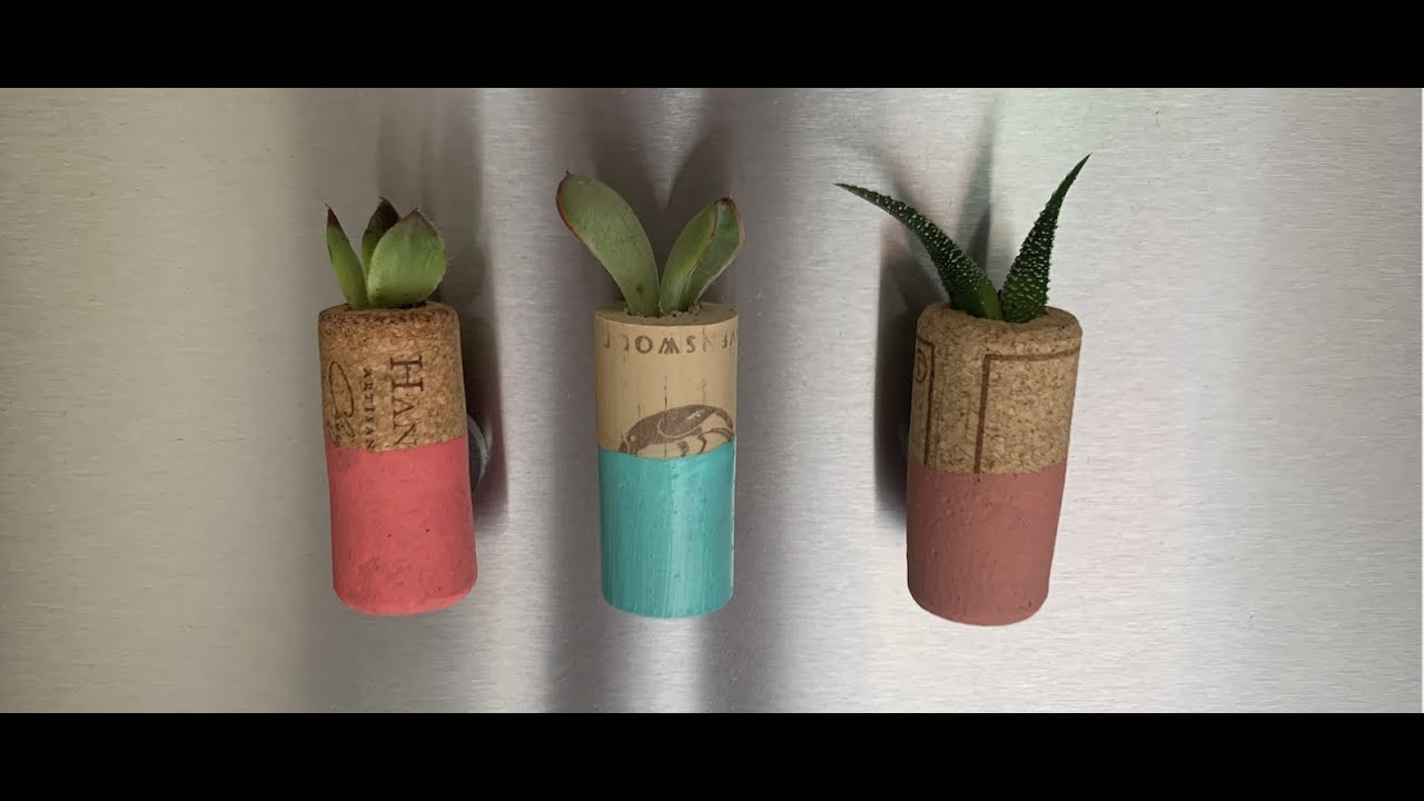 DIY Mini Succulent Magnets