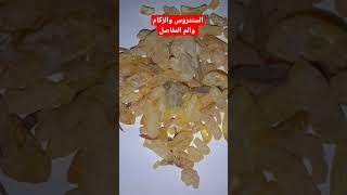 فائدة للسندروس