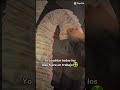 {money} #subscribe #nosexd #shortvideo #editxd #gacha #memexd