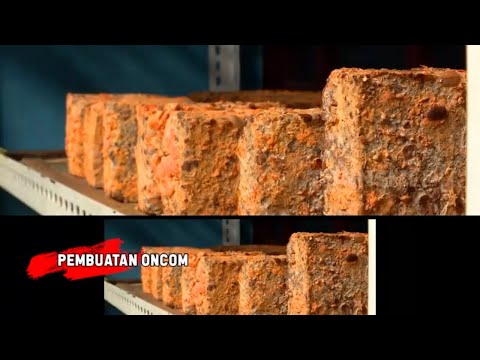Cara Buat Oncom Dari Tempe