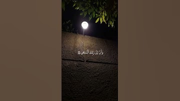 [ القرآن الكريم | سورة النجم | بصوت القارئ ياسر الدوسري | حفضه الله ]. #اكسبلور #لايك #راحه_نفسيه